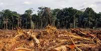 Desmatamento da Amazônia, em foto de 2007; floresta brasileira perdeu 20% de sua área desde 1970  Foto: Getty Images / BBC News Brasil