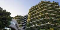 'Boom' na construção verde deve gerar mais de 6,5 milhões de postos de trabalho até 2030, diz OIT  Foto: Getty Images / BBC News Brasil