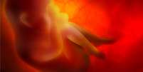 Legislação brasileira e da maioria dos países proíbe engenharia genética com embriões  Foto: Getty Images / BBC News Brasil