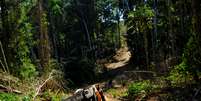 Homem carrega motosserra em floresta perto de Itaituba (PA)
07/08/2017
REUTERS/Nacho Doce  Foto: Reuters