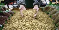 Funcionário seleciona grãos de soja em supermercado em Wuhan, na China
14/04/2014
REUTERS/Stringer  Foto: Reuters
