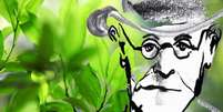Freud queria investigar minuciosamente a planta que era tradicionalmente usada na América do Sul  Foto: Getty Images / BBC News Brasil