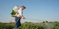O glifosato é hoje o herbicida mais comum do mundo  Foto: Getty Images / BBC News Brasil