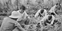 Adolescentes trabalhando na horta de uma unidade de internação no início do século 20  Foto: CPDoc/Fundação Casa / BBC News Brasil