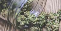 Cannabis medicinal  Foto: iStock