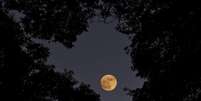 Quais signos serão mais impactados pela Lua Nova do dia 05?  Foto: iStock