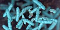 Nossos intestinos contêm cerca de 100 trilhões de micróbios, coletivamente conhecidos como flora intestinal  Foto: Getty Images / BBC News Brasil
