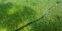 vista aérea da floresta amazônica  Foto: Larissa Rodrigues / BBC News Brasil