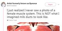 "Acabei de perceber que nunca tinha visto uma foto do sistema muscular feminino. Nunca imaginei que os dutos de leite tivessem essa aparência!"  Foto: Reprodução Twitter / BBC News Brasil