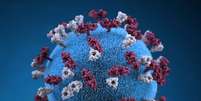 Ilustração em 3D do vírus do sarampo  Foto: Reuters