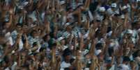 Torcedores do Palmeiras xingaram a Rede Globo durante partida exibida na TNT (Agência Palmeiras/Divulgação)  Foto: LANCE!