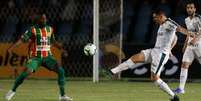 Moisés marcou o gol do Palmeiras sobre o Sampaio Corrêa  Foto: Cesar Greco / Agência Palmeiras / Divulgação