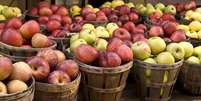 'Popularização' da maçã teve início cerca de 4,5 mil anos atrás  Foto: Getty Images / BBC News Brasil