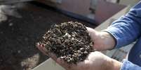 Funcionário da Mosaic segura amostra do fosfato obtido pela empresa 
13/01/2010
REUTERS/Scott Audette  Foto: Reuters