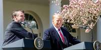 Jair Bolsonaro e Donald Trump fazem pronunciamento durante visita do brasileiro à Casa Branca.  Foto: Isac Nóbrega/Agência Brasil - 19/3/2019 / Estadão Conteúdo