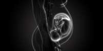 Pesquisa aponta que, durante a gravidez, a placenta envia 'mensagens' para o sistema imunológico  Foto: Getty Images / BBC News Brasil