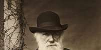 Charles Darwin  Foto: Reprodução
