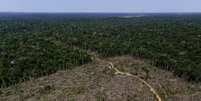 Desmatamento da Amazônia em Apuí, no Amazonas
27/07/2017
REUTERS/Bruno Kell  Foto: Reuters