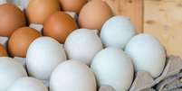 Conheça as diferenças entre o ovo marrom e ovo branco  Foto: Shutterstock / TudoGostoso