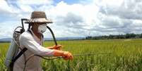 Dos 2,3 mil agrotóxicos registrados hoje no Brasil, de 700 a 800 são considerados 'extremamente tóxicos'  Foto: Divulgação / Estadão