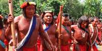 Foto de arquivo mostra indígenas da etnia wajãpi  Foto: Rede de Cooperação Amazônica (RCA) / Ansa - Brasil