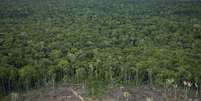 Num artigo, Stephen M. Walt, professor de Relações Internacionais, criou um cenário hipotético em que os EUA ameaçam invadir o Brasil para impedir a destruição da Floresta Amazônica  Foto: Per-Anders Pettersson/Getty Images / BBC News Brasil