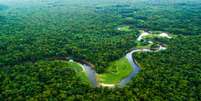 Floresta Amazônica.  Foto: iStock