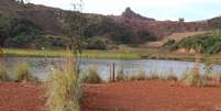 Vegetação cresce sobre trinca em barragem abandonada em Brumadinho  Foto: DW / Deutsche Welle