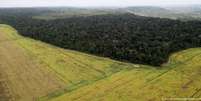 Desmatamento para plantação de soja é uma das maiores ameaças à Floresta Amazônica  Foto: DW / Deutsche Welle