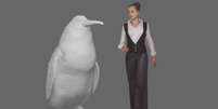 Apelidado de 'pinguim monstro', ele tinha 1,6 metros e cerca de 80 kg  Foto: Canterbury Museum / BBC News Brasil