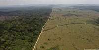 Dados do Inpe mostram que em julho a devastação na Amazônia cresceu 278% em relação ao mesmo mês de 2018  Foto: DW / Deutsche Welle