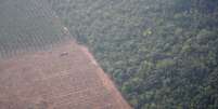 Imagem aérea do último dia 22 mostra trator em uma plantação ao lado de floresta perto de Porto Velho (RO); presidente da SRB não vê contradição entre preservar e aumentar produção  Foto: REUTERS/Ueslei Marcelino / BBC News Brasil