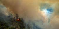 Incêndio no Estado de Rondônia neste sábado, 24  Foto: Greenpeace/ Divulgação / Estadão