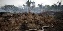 Os rastros da destruição do desmatamento e queimadas  Foto: Ueslei Marcelino / Reuters