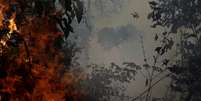 Incêndio na floresta amazônica perto de Porto Velho  Foto: Ricardo Moraes / Reuters