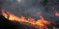 Queimada na Floresta Nacional de Jacundá, em Porto Velho, em foto de 26 de agosto  Foto: DW / Deutsche Welle