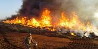 Queimadas no Brasil tiveram repercussão negativa no exterior  Foto: Bombeiros MS / BBC News Brasil