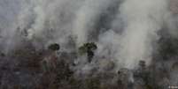 Fogo devasta floresta na região de Porto Velho  Foto: DW / Deutsche Welle