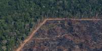 Vista aérea de trecho da Amazônia atingido por queimadas
29/08/2019
REUTERS/Ricardo Moraes   Foto: Reuters