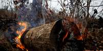 Incêndio na floresta amazônica em Apuí, no Estado do Amazonas
05/09/2019
REUTERS/Bruno Kelly  Foto: Reuters