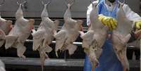 Processamento de carne de frango em frigorífico em Itatinga (SP) 
04/10/2011
REUTERS/Paulo Whitaker  Foto: Reuters