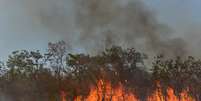 Incêndio na floresta amazônica em Água Boa, no Estado do Mato Grosso
04/09/2019
REUTERS/Lucas Landau  Foto: Reuters