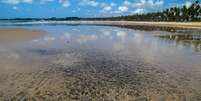 Mancha de óleo na praia do Paiva, em Pernambuco
27/09/2019
REUTERS/Diego Nigro  Foto: Reuters