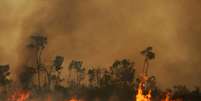 Incêndio atinge terra indígena Tenharim Marmelos, na floresta amazônica
15/09/2019 REUTERS/Bruno Kelly  Foto: Reuters