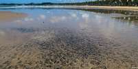 Manchas de óleo em Cabo de Santo Agostinho, em Pernambuco  Foto: DW / Deutsche Welle