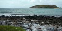 Abrolhos  Foto: Tatiana Azeviche/ Setur / BBC News Brasil