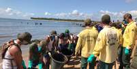 Militares da Marinha e agentes do Ibama trabalham para retirar óleo da foz do rio Jaboatão, em Pernambuco  Foto: Marinha / BBC News Brasil