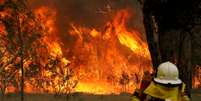Bombeiro observa avan&ccedil;o das chamas de inc&ecirc;ndio florestal em Nova Gales do Sul, na Austr&aacute;lia
09/11/2019
AAP Image/Shane Chalker/via REUTERS  Foto: Reuters