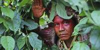 Indígenas também se tornaram fornecedores de empresas brasileiras e estrangeiras  Foto: Sérgio Vale/Secom-AC / BBC News Brasil