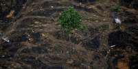Área desmatada perto de Porto Velho; taxa de desmatamento anunciada nesta segunda-feira é a maior desde 2008  Foto: REUTERS/Bruno Kelly / BBC News Brasil